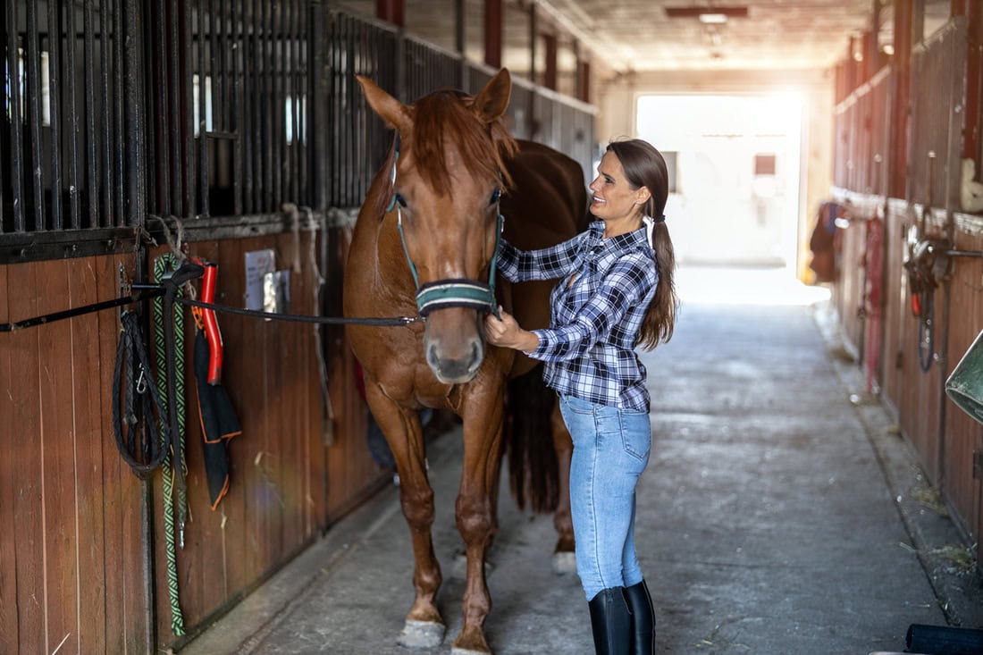 Why some horses need medicated shampoo